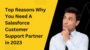 Top Reasons Why You Need A Salesforce Customer Support Partner in 2023